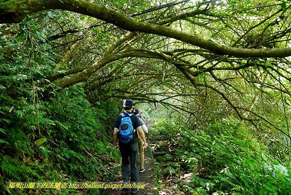 P1780320.jpg P1780320.jpg