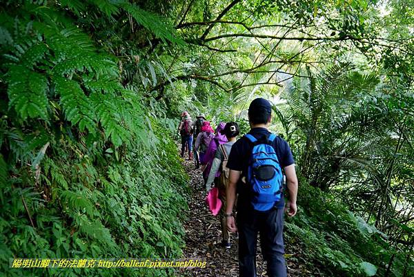 P1780321.jpg P1780321.jpg