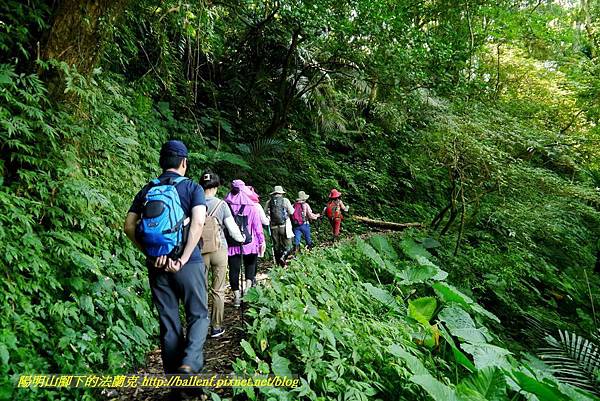 P1780322.jpg P1780322.jpg