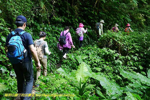 P1780324.jpg P1780324.jpg