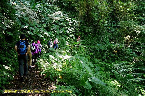 P1780326.jpg P1780326.jpg