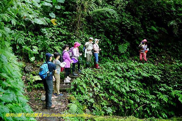 P1780327.jpg P1780327.jpg