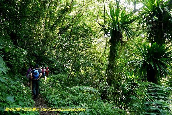 P1780328.jpg P1780328.jpg