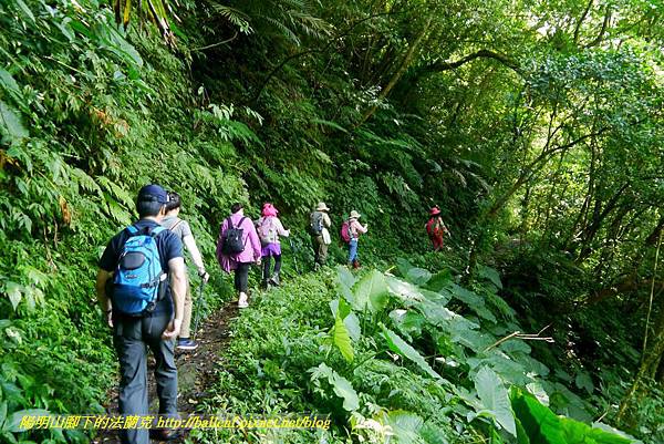 P1780333.jpg P1780333.jpg