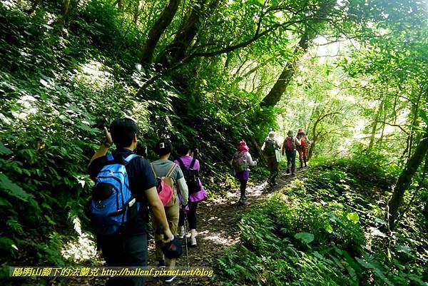 P1780334.jpg P1780334.jpg