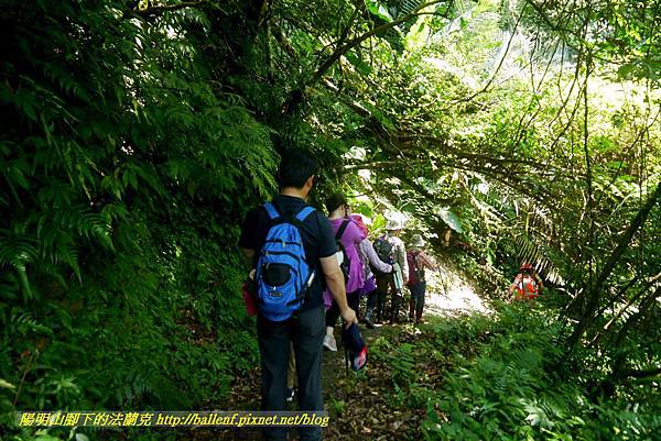 P1780335.jpg P1780335.jpg