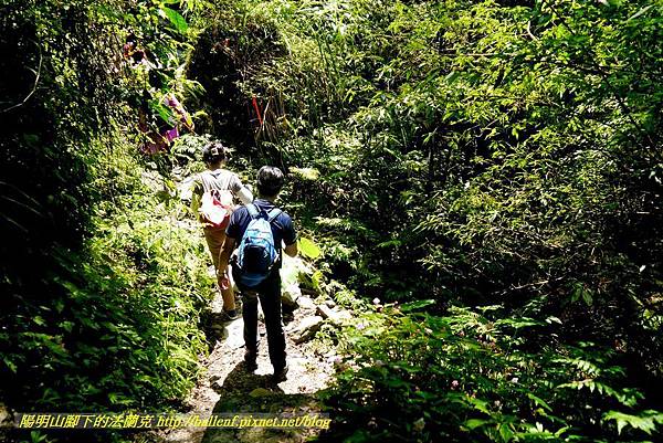 P1780336.jpg P1780336.jpg