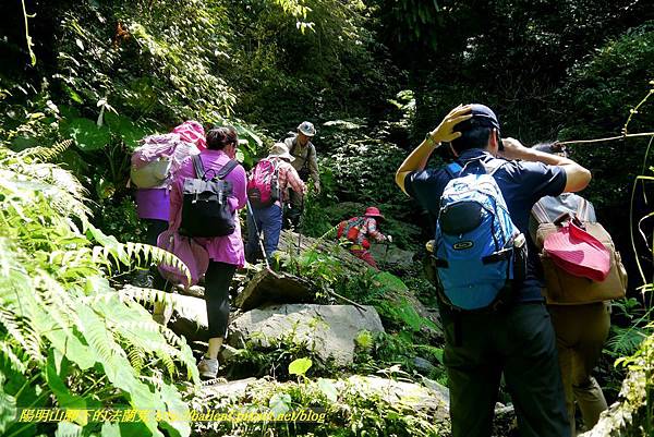 P1780337.jpg P1780337.jpg