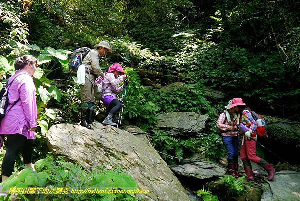 P1780338.jpg P1780338.jpg