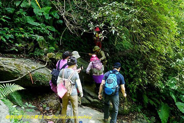 P1780340.jpg P1780340.jpg