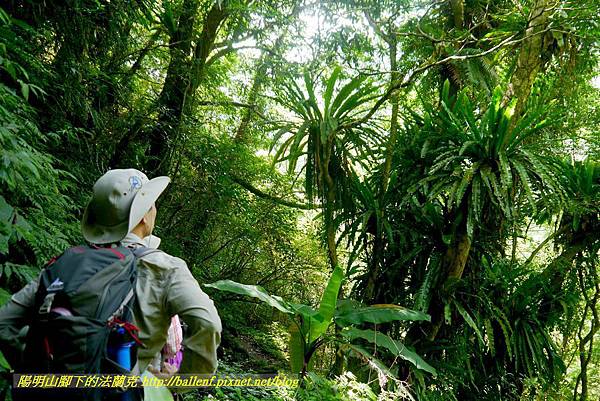 P1780341.jpg P1780341.jpg