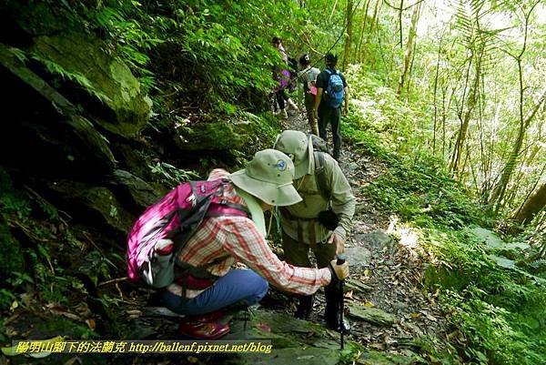 P1780342.jpg P1780342.jpg