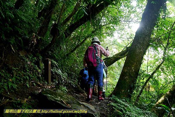 P1780343.jpg P1780343.jpg