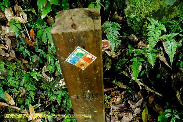 P1780344.jpg P1780344.jpg