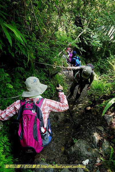 P1780350.jpg P1780350.jpg