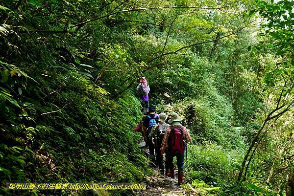 P1780351.jpg P1780351.jpg