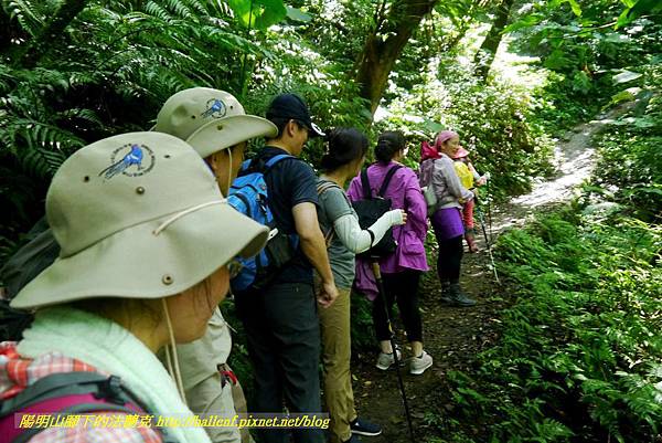 P1780352.jpg P1780352.jpg