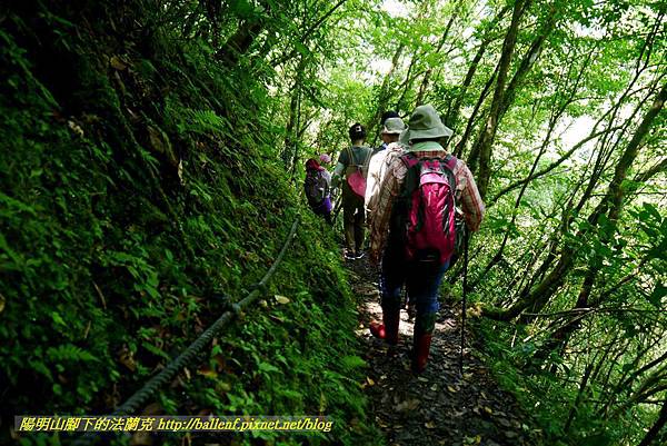 P1780353.jpg P1780353.jpg