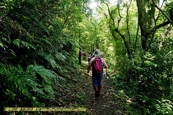 P1780354.jpg P1780354.jpg