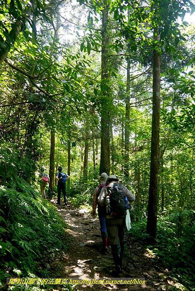 P1780355.jpg P1780355.jpg