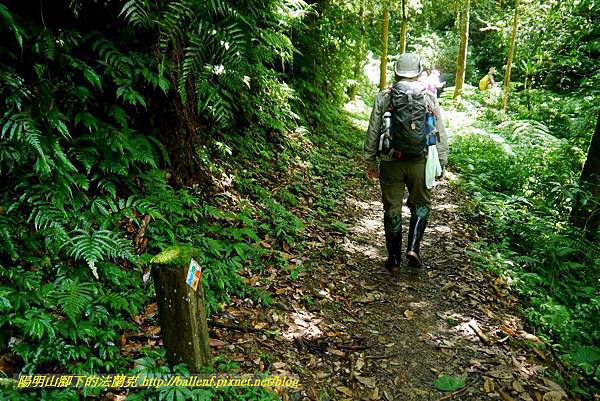 P1780356.jpg P1780356.jpg