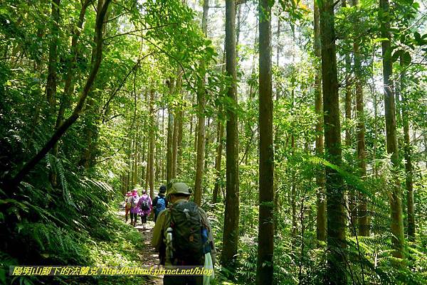 P1780358.jpg P1780358.jpg