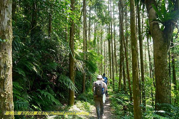 P1780359.jpg P1780359.jpg