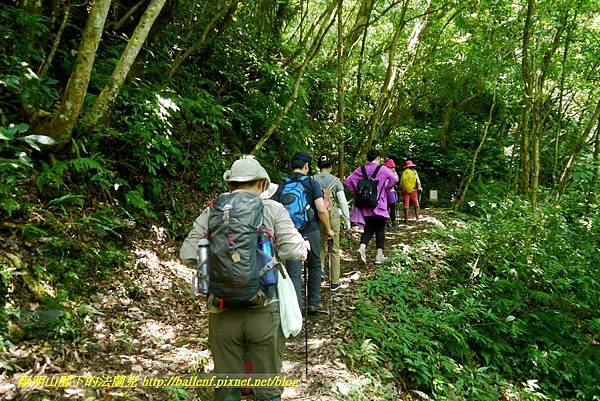 P1780360.jpg P1780360.jpg