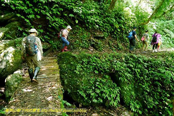 P1780362.jpg P1780362.jpg