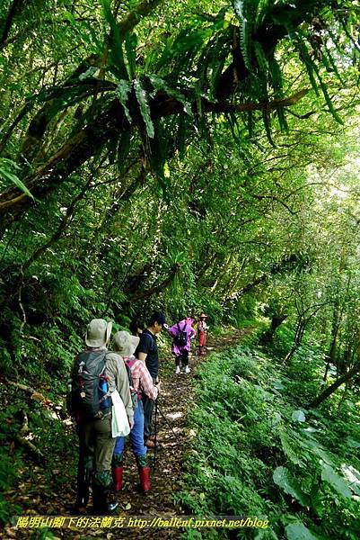 P1780363.jpg P1780363.jpg