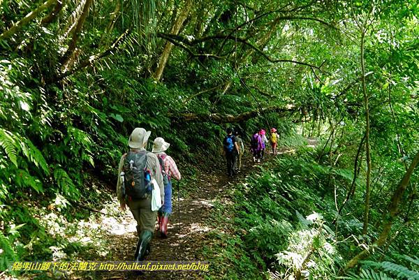 P1780365.jpg P1780365.jpg