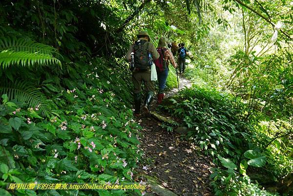 P1780366.jpg P1780366.jpg