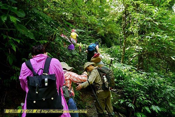 P1780371.jpg P1780371.jpg