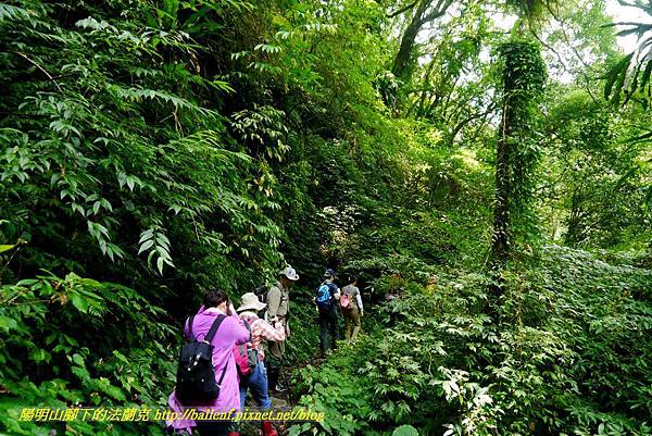 P1780372.jpg P1780372.jpg