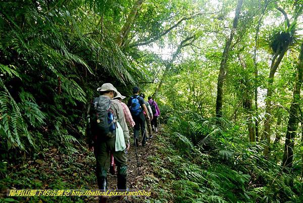 P1780374.jpg P1780374.jpg