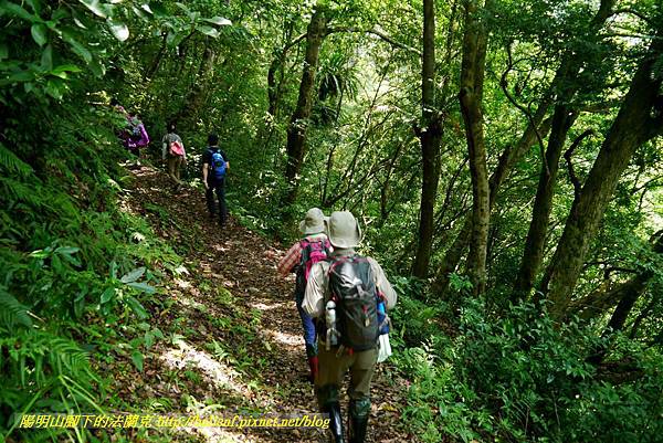 P1780375.jpg P1780375.jpg