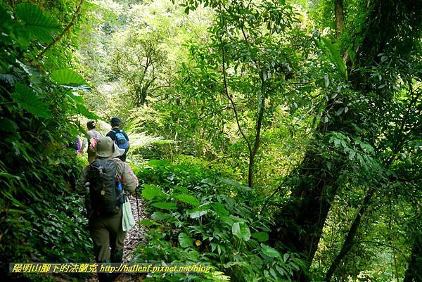 P1780377.jpg P1780377.jpg