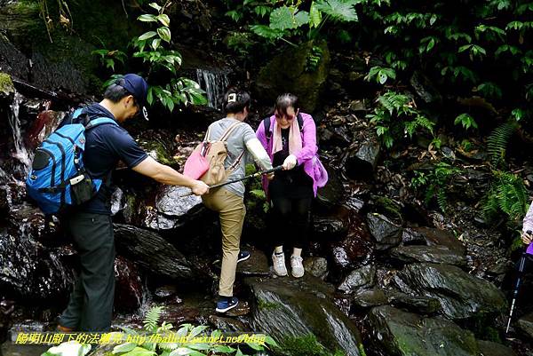 P1780379.jpg P1780379.jpg