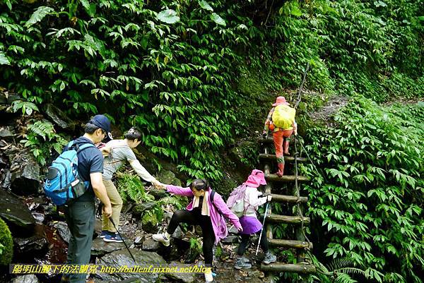 P1780380.jpg P1780380.jpg