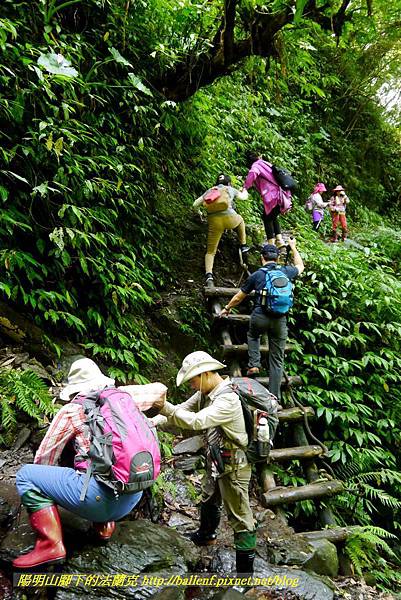 P1780382.jpg P1780382.jpg