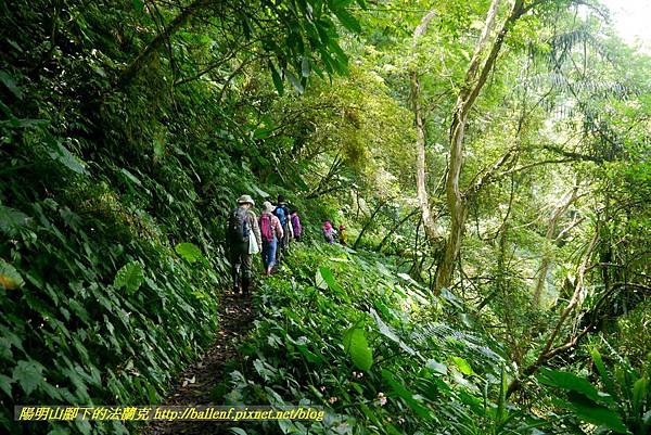 P1780384.jpg P1780384.jpg