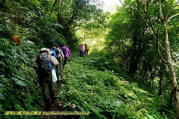 P1780385.jpg P1780385.jpg