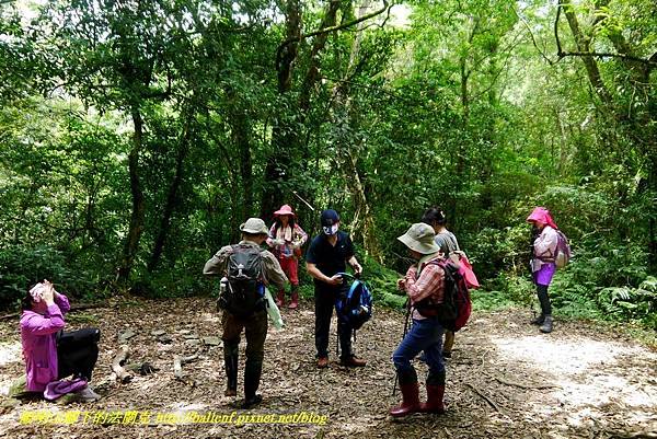 P1780386.jpg P1780386.jpg