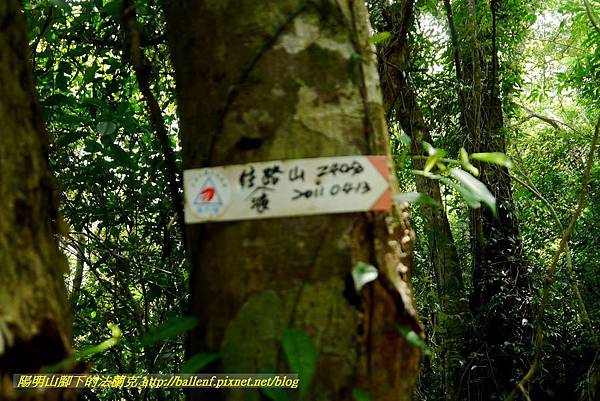 P1780387.jpg P1780387.jpg