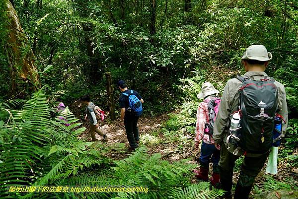 P1780389.jpg P1780389.jpg