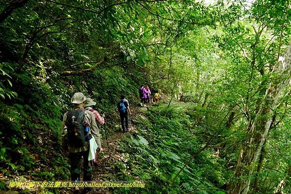 P1780391.jpg P1780391.jpg