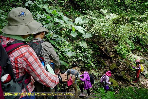 P1780393.jpg P1780393.jpg