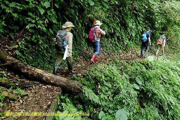 P1780396.jpg P1780396.jpg