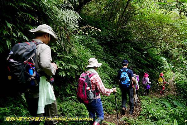 P1780398.jpg P1780398.jpg