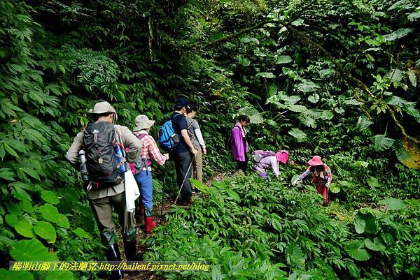 P1780399.jpg P1780399.jpg